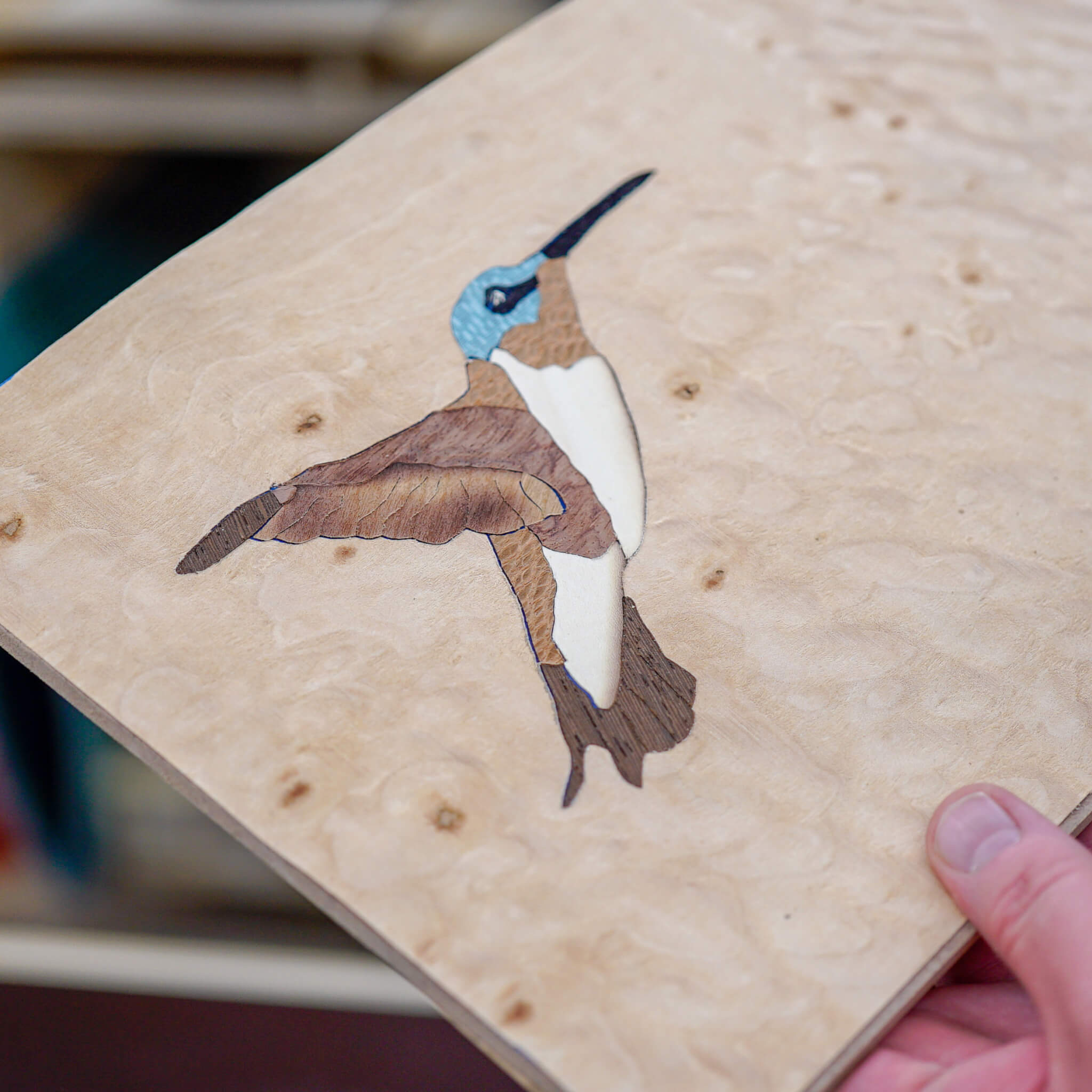 hummingbird veneer decorative wood panel for marquetry class