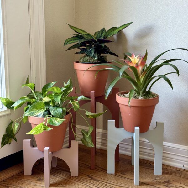COMMUNITY CLASS: Arched Plant Stand Trio
