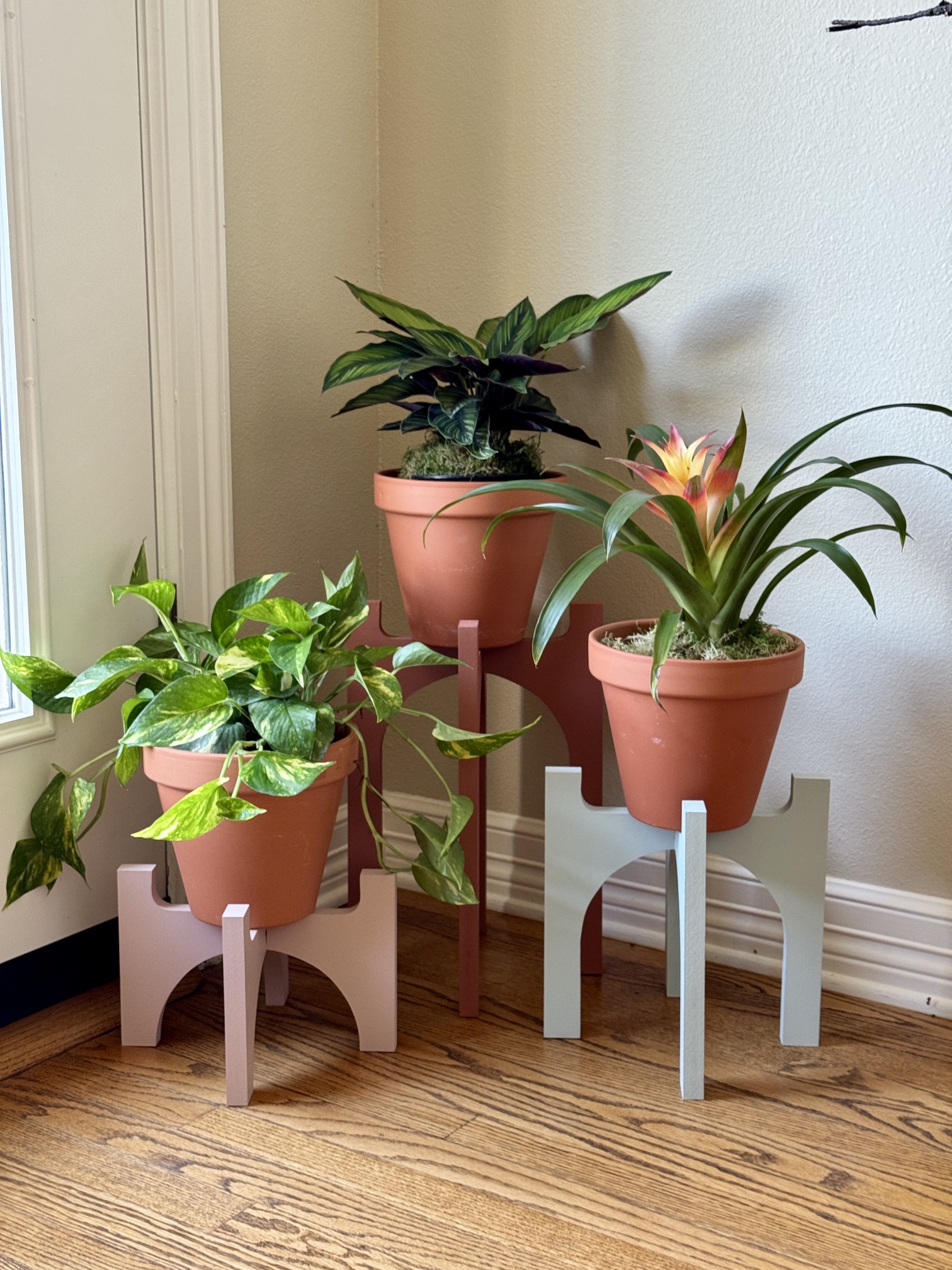 Trio with plants - spread out further