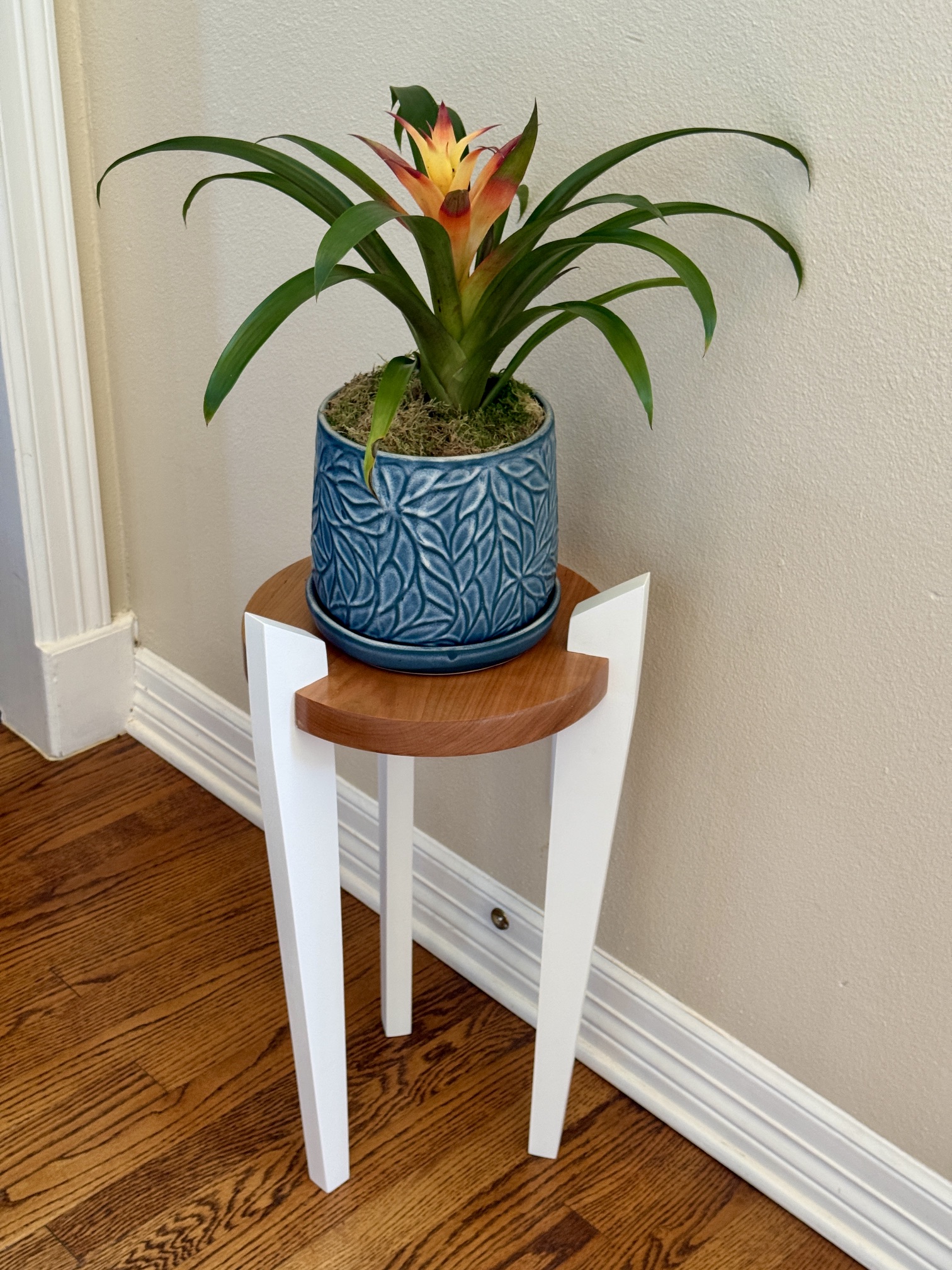 3 Leg Plant Stand - Blue Pot